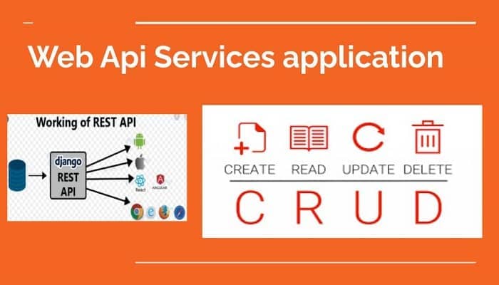 Web Api Services Application